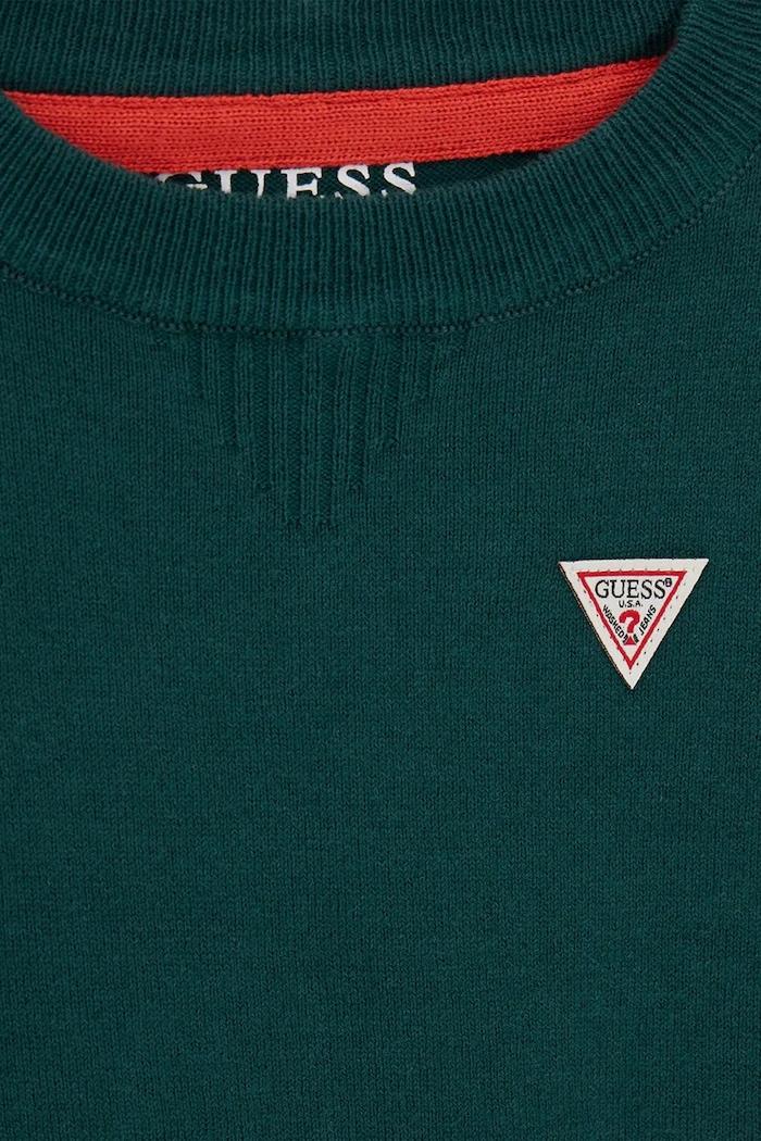 Chłopiec Guess sweter dziecięcy z bawełną N0YR04.Z2VV0.9BY2 zielony