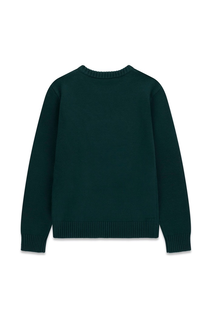 Guess Sweter dziecięcy z wiskozą H6BR01.Z1336.9BY2 zielony AW26