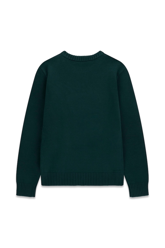 Guess Sweter dziecięcy z wiskozą H6BR01.Z1336.9BY2 zielony AW26
