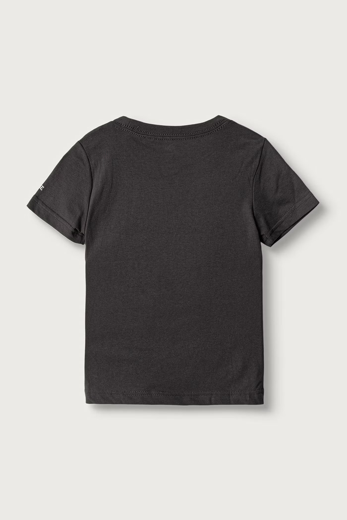 Converse T-shirt dziecięcy z bawełną 8CH862.9BY2 szary AW26