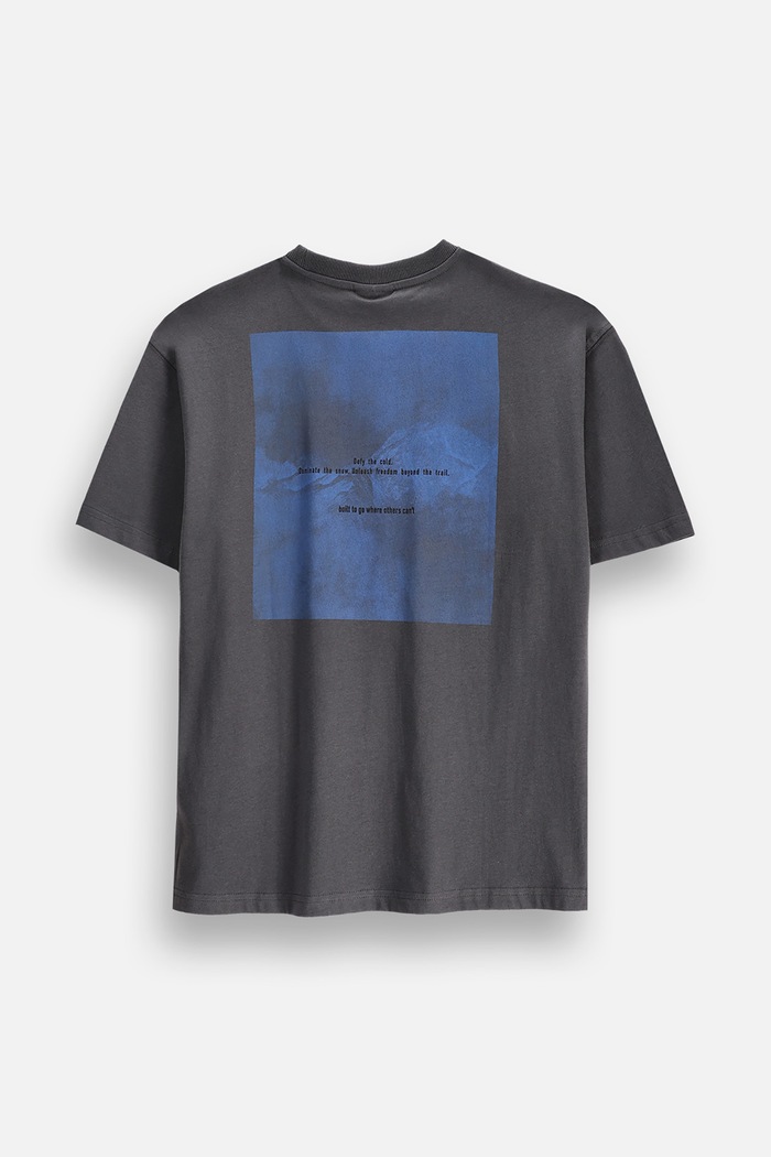 Coccodrillo T-shirt παιδικό βαμβακερό ZC6143201WBJ γκρί AW26