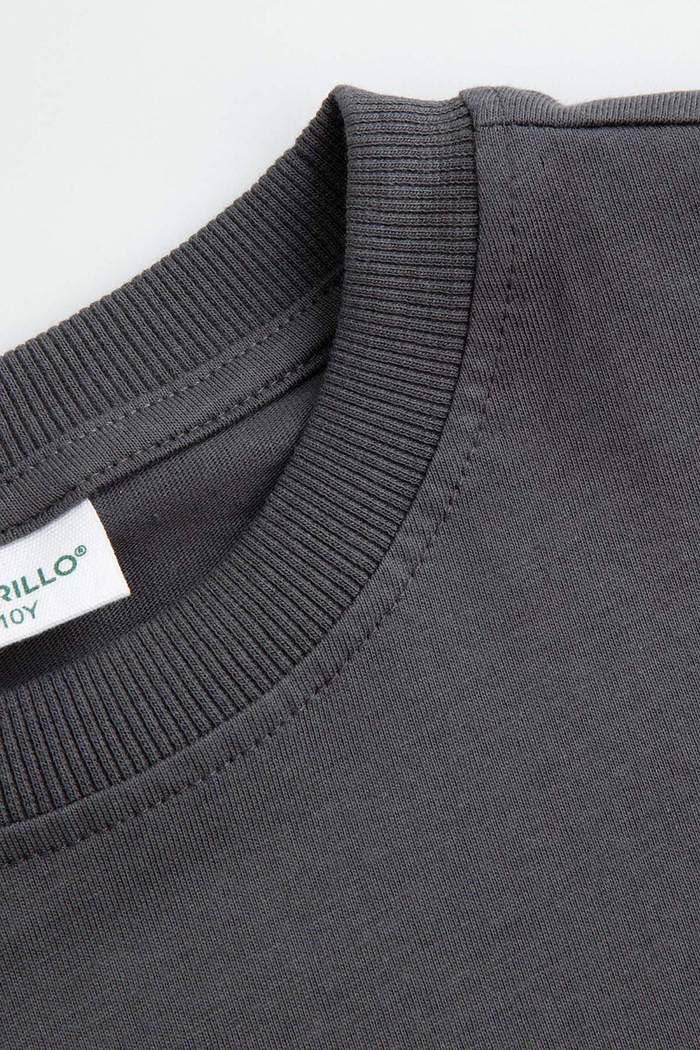 Αγορίστικα Coccodrillo T-shirt παιδικό βαμβακερό ZC6143201WBJ γκρί