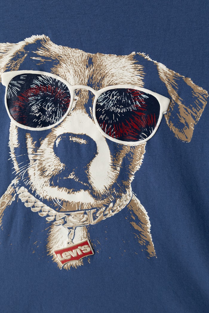 Chłopiec Levi's T-shirt dziecięcy z bawełną 9EP645 niebieski