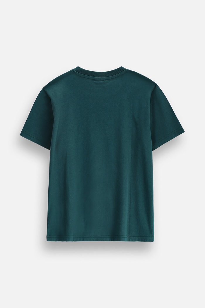 Coccodrillo T-shirt παιδικό βαμβακερό ZC6143202SBJ τιρκουάζ AW26