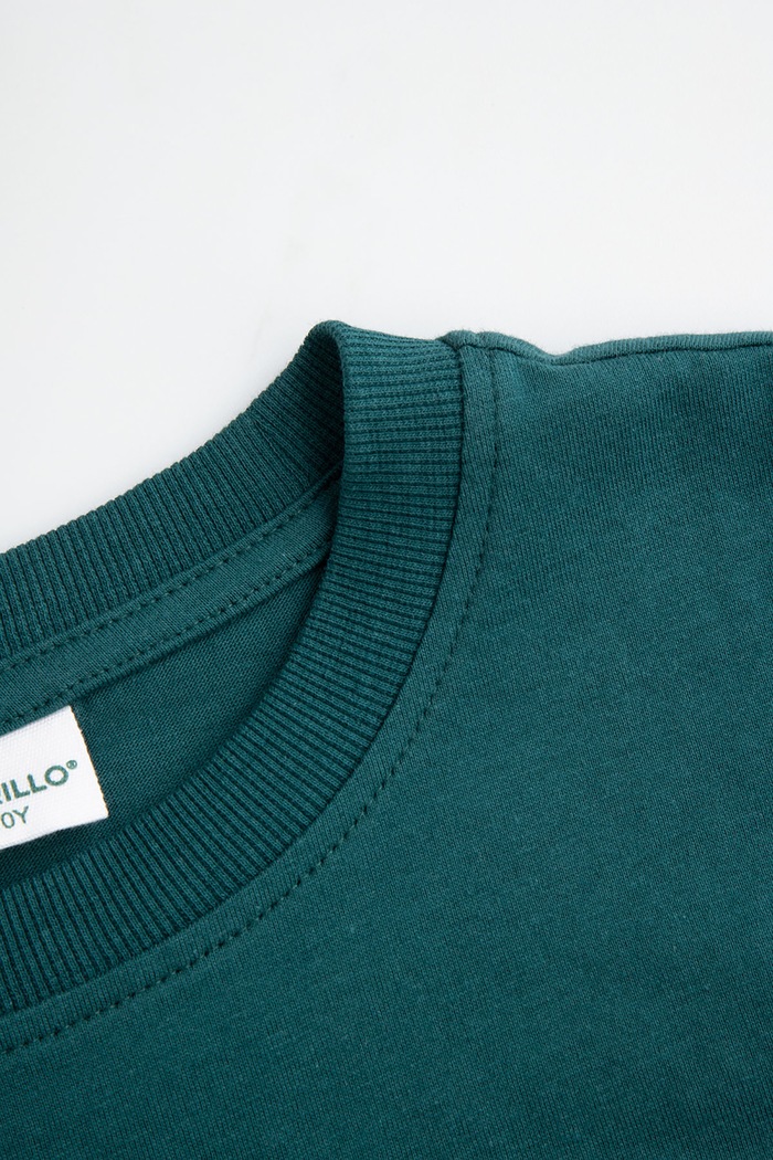 Αγορίστικα Coccodrillo T-shirt παιδικό βαμβακερό ZC6143202SBJ τιρκουάζ