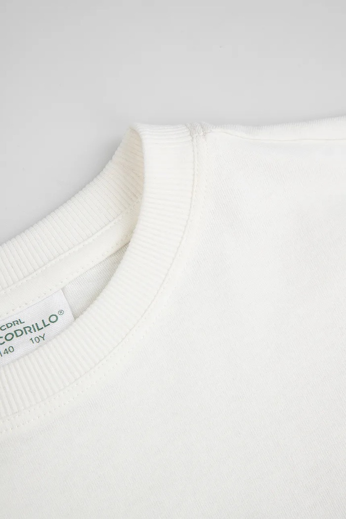 Αγορίστικα Coccodrillo t-shirt παιδικό βαμβακερό ZC6143202RBJ μπεζ