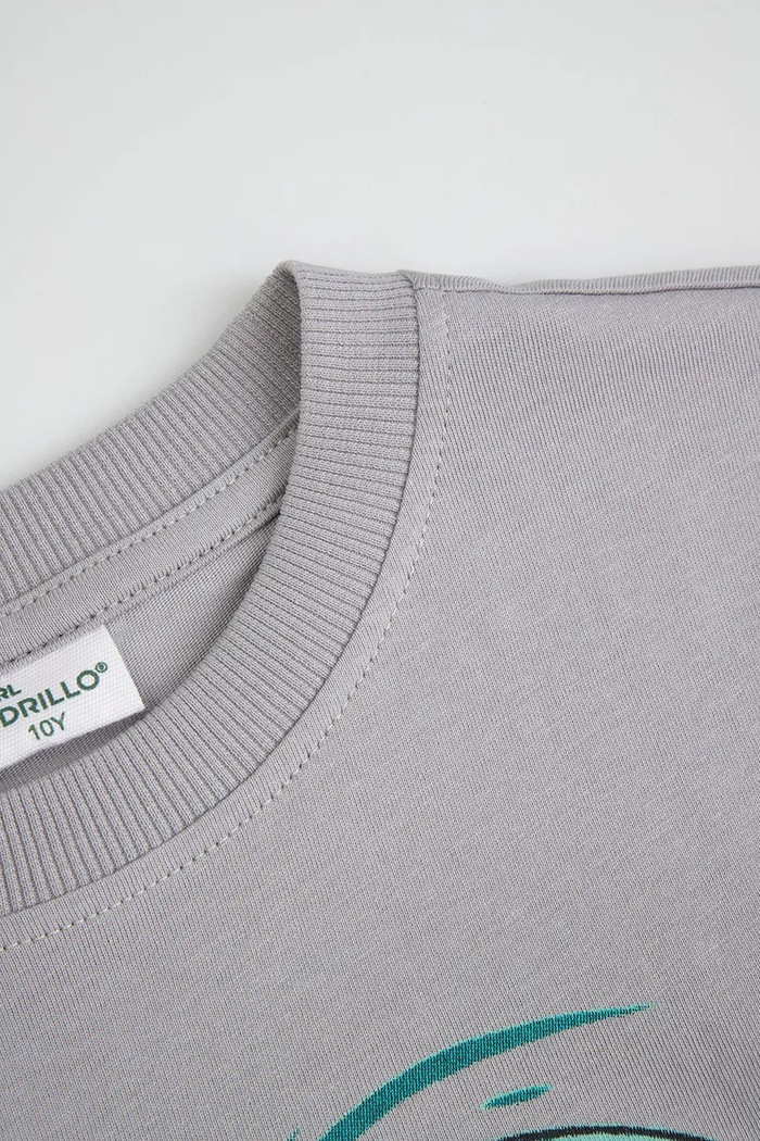 Αγορίστικα Coccodrillo t-shirt παιδικό βαμβακερό ZC6143214VBA γκρί