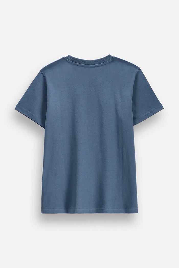 Coccodrillo t-shirt παιδικό βαμβακερό ZC6143214VBA μπλε AW26