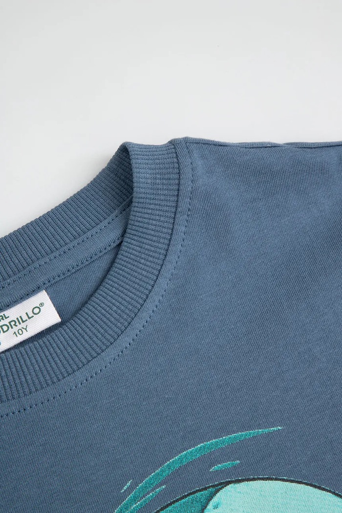 Αγορίστικα Coccodrillo t-shirt παιδικό βαμβακερό ZC6143214VBA μπλε