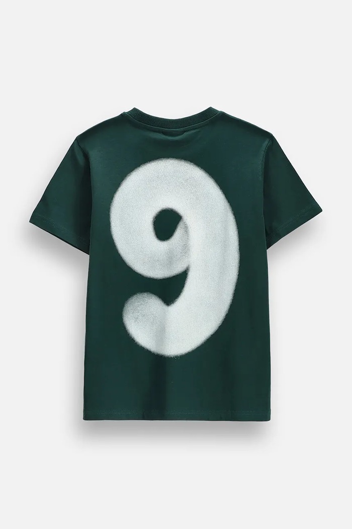 Coccodrillo t-shirt παιδικό βαμβακερό ZC6143202VBA πράσινο AW26