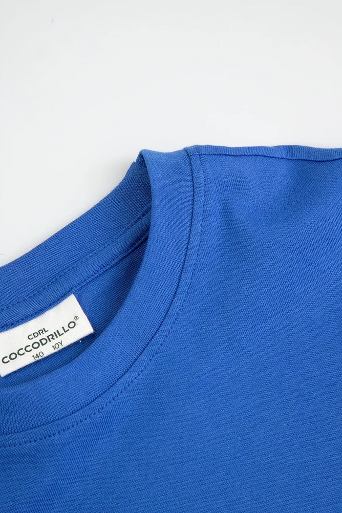 Αγορίστικα Coccodrillo t-shirt παιδικό βαμβακερό ZC6143217LBD μπλε