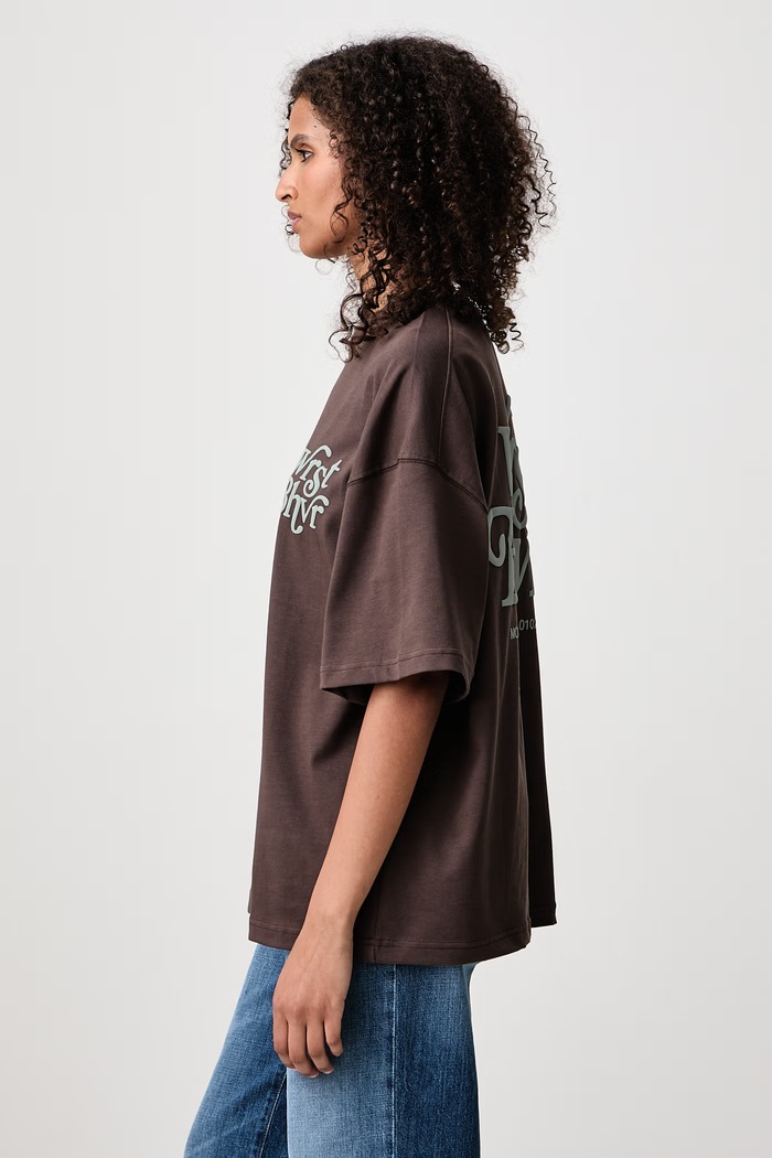 REED V3 T-shirt bawełniany damski WRSTBHVR U1026TT.D brązowy