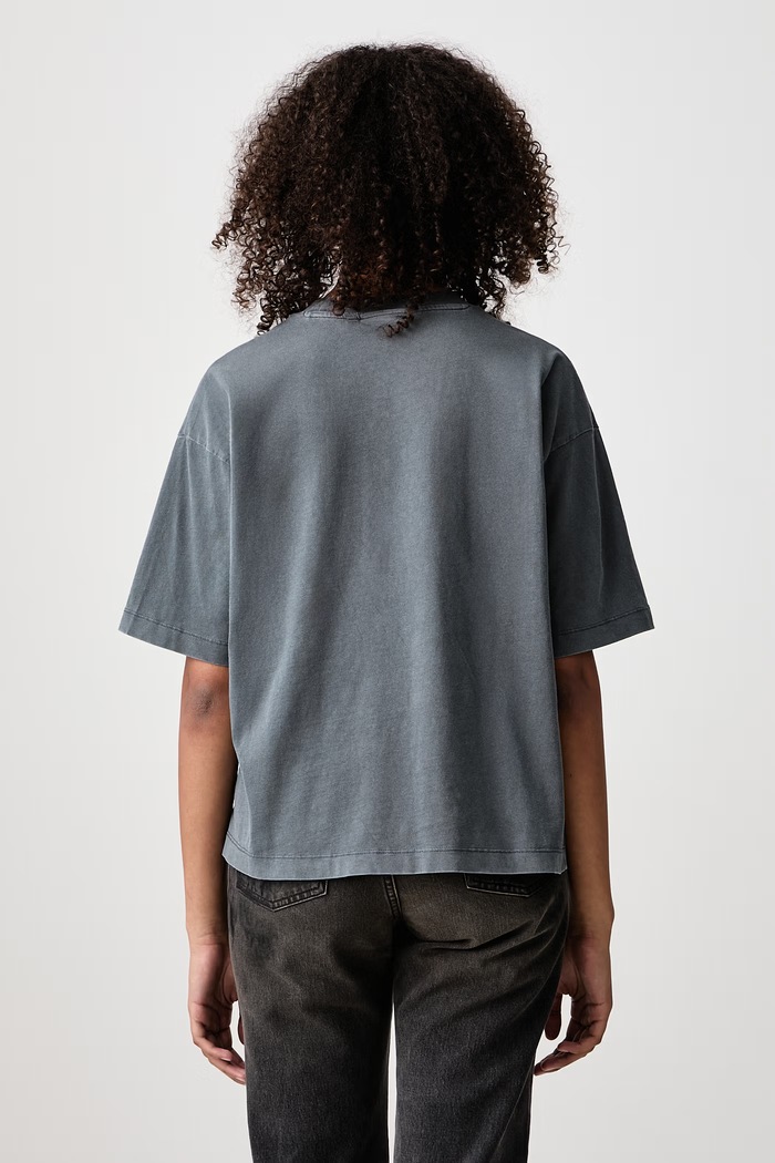 Odzież Carhartt WIP Nelson T-Shirt T-shirt bawełniany damski I033051 szary