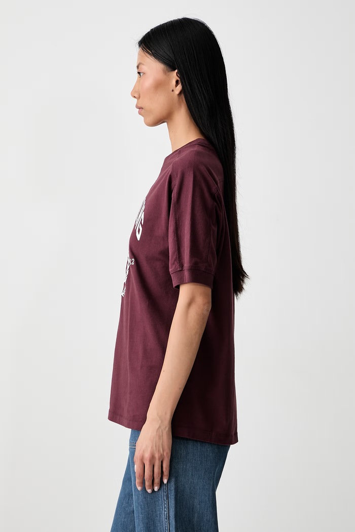 Anine Bing JAYLIN T-shirt bawełniany damski bordowy A.08.12695.BGN28