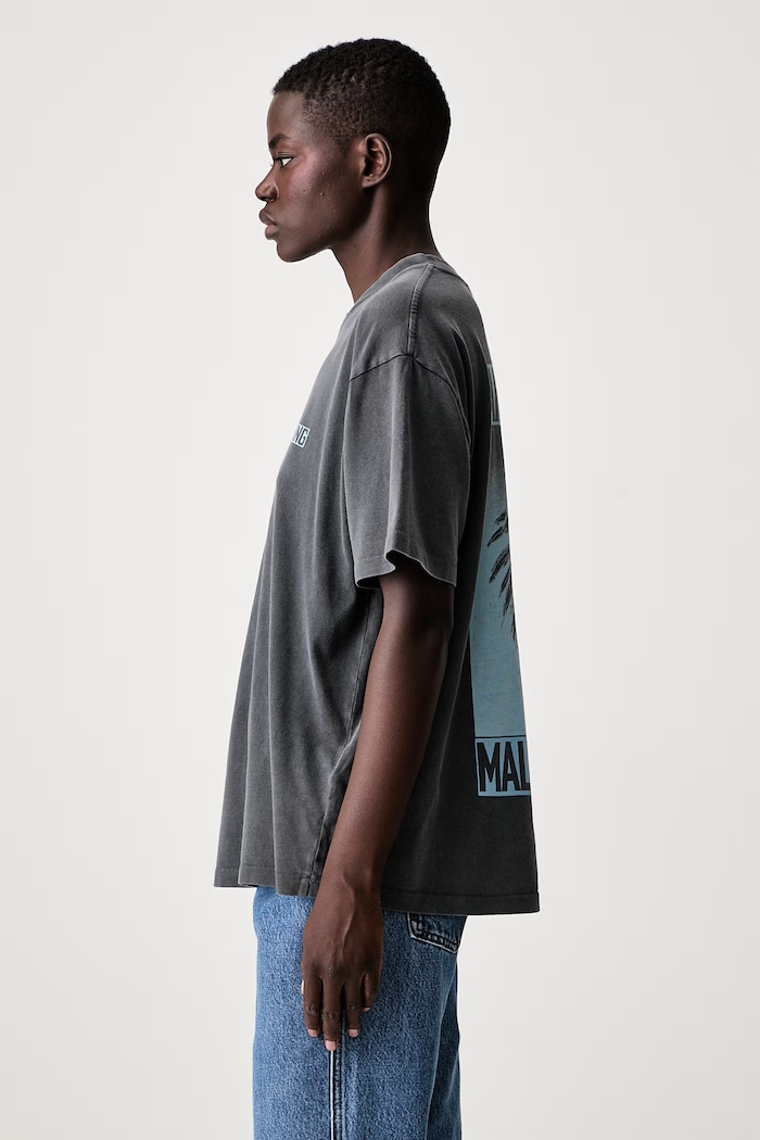 Anine Bing CADE TEE PALM T-shirt bawełniany damski szary A.08.12312.WBL1