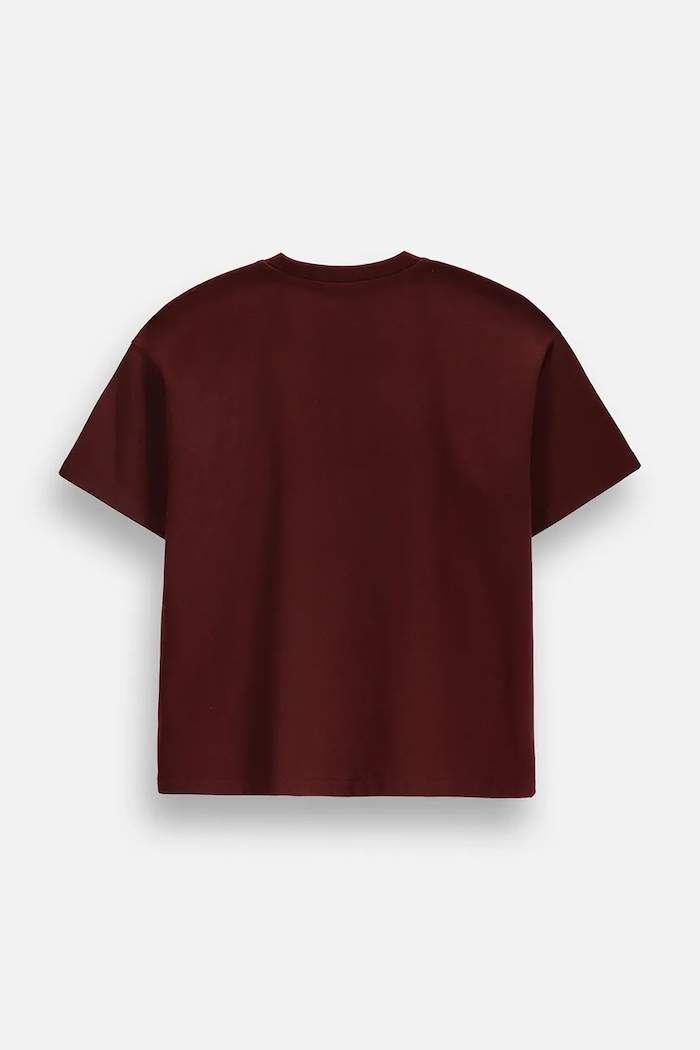 Coccodrillo Tričko dětské bavlněné ZC6143202FGJ burgundské AW26
