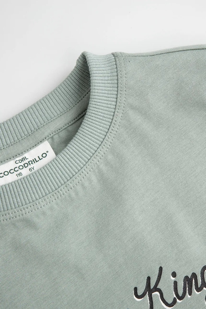 Chłopiec Coccodrillo T-shirt dziecięcy bawełniany ZC6143203LBD zielony