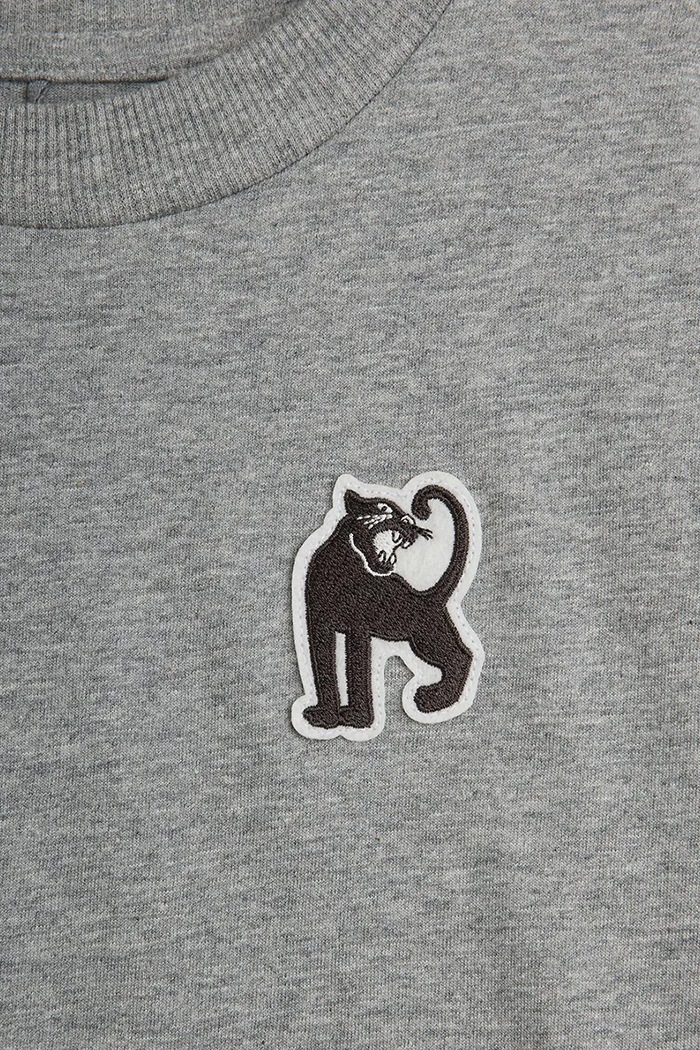 Chłopiec Mini Rodini T-shirt dziecięcy bawełniany Panther 11000348 szary