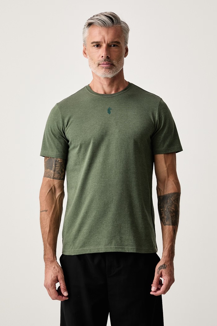 Cotopaxi T-shirt męski z bawełną Llama zielony F25474M1786