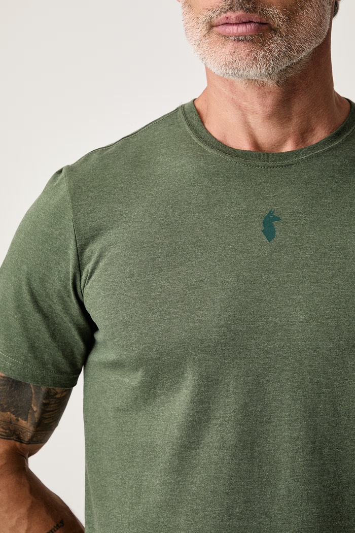 T-shirt męski z bawełną Llama Cotopaxi F25474M1786 zielony