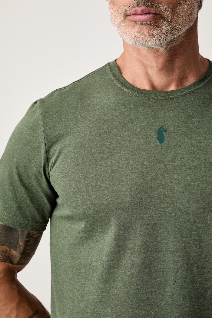T-shirt męski z bawełną Llama Cotopaxi F25474M1786 zielony