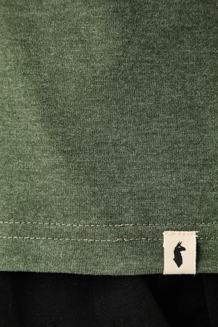 T-shirt męski z bawełną Llama Cotopaxi zielony F25474M1786