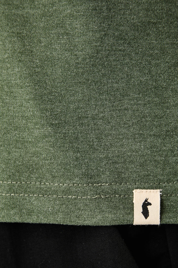 T-shirt męski z bawełną Llama Cotopaxi zielony F25474M1786
