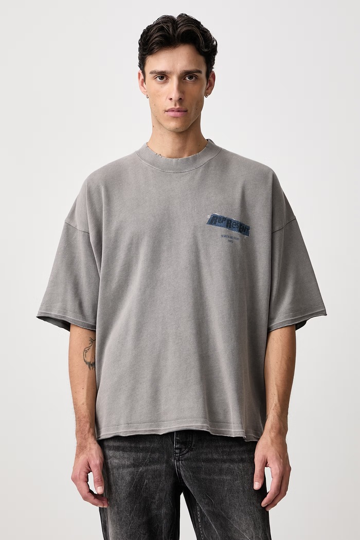 Odzież Represent T-shirt bawełniany męski MLM101074 szary