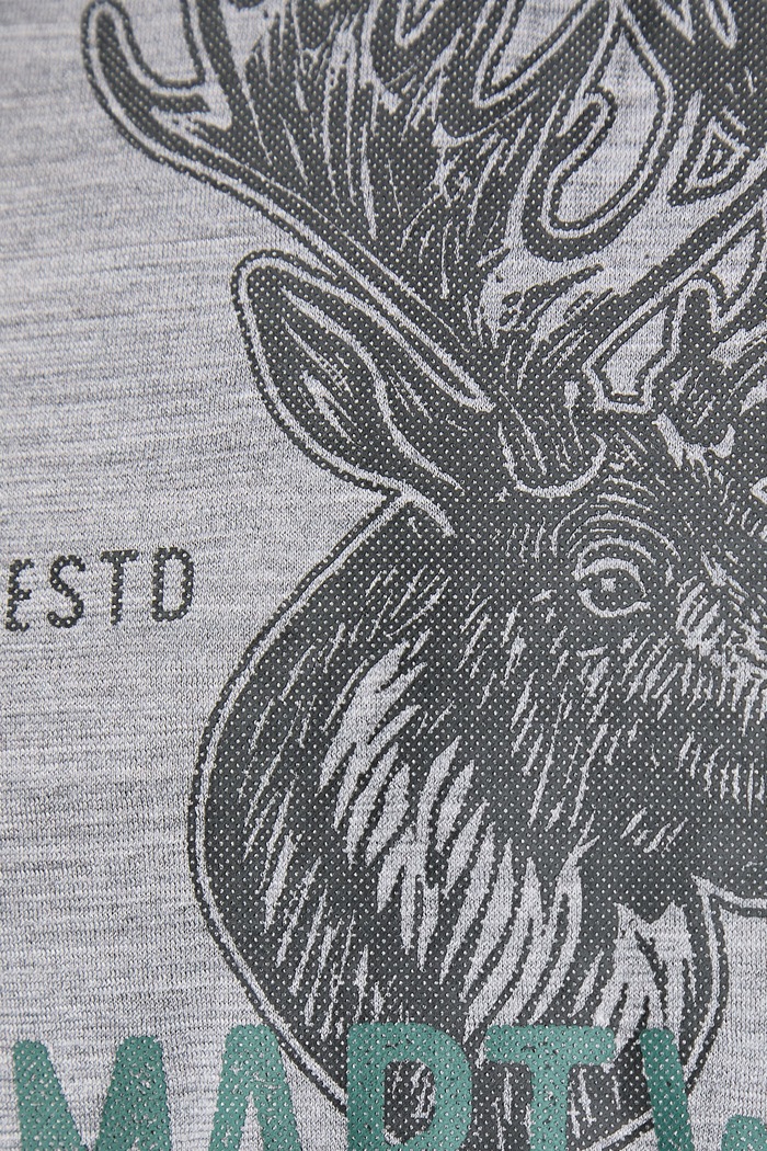 T-shirt męski z wełną merino Smartwool szary SW0032905451