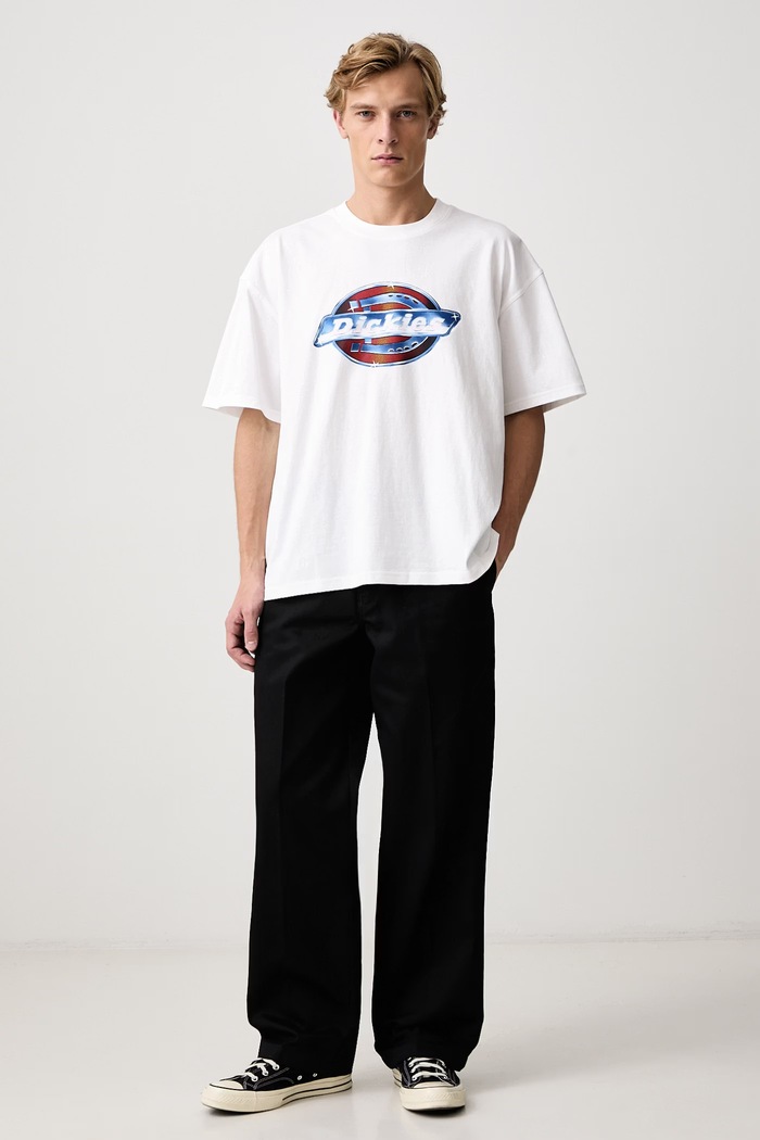 Dickies T-shirt męski bawełniany DK0A8DTG0WH1 biały AW26