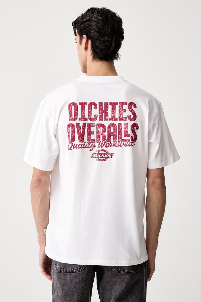 Dickies T-shirt męski bawełniany biały DK0A8DTF0WH1