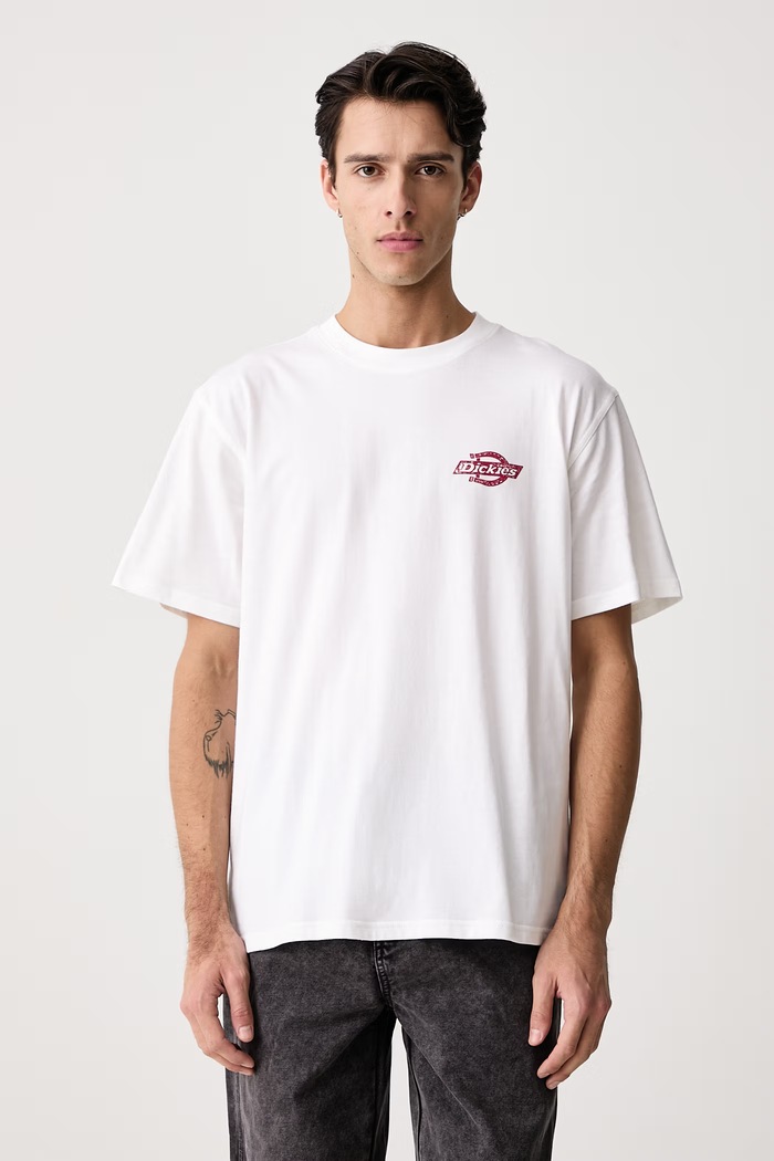 Odzież Dickies T-shirt męski bawełniany DK0A8DTF0WH1 biały