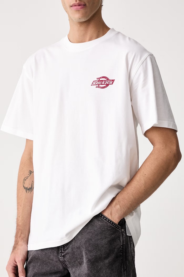 T-shirt męski bawełniany Dickies DK0A8DTF0WH1 biały
