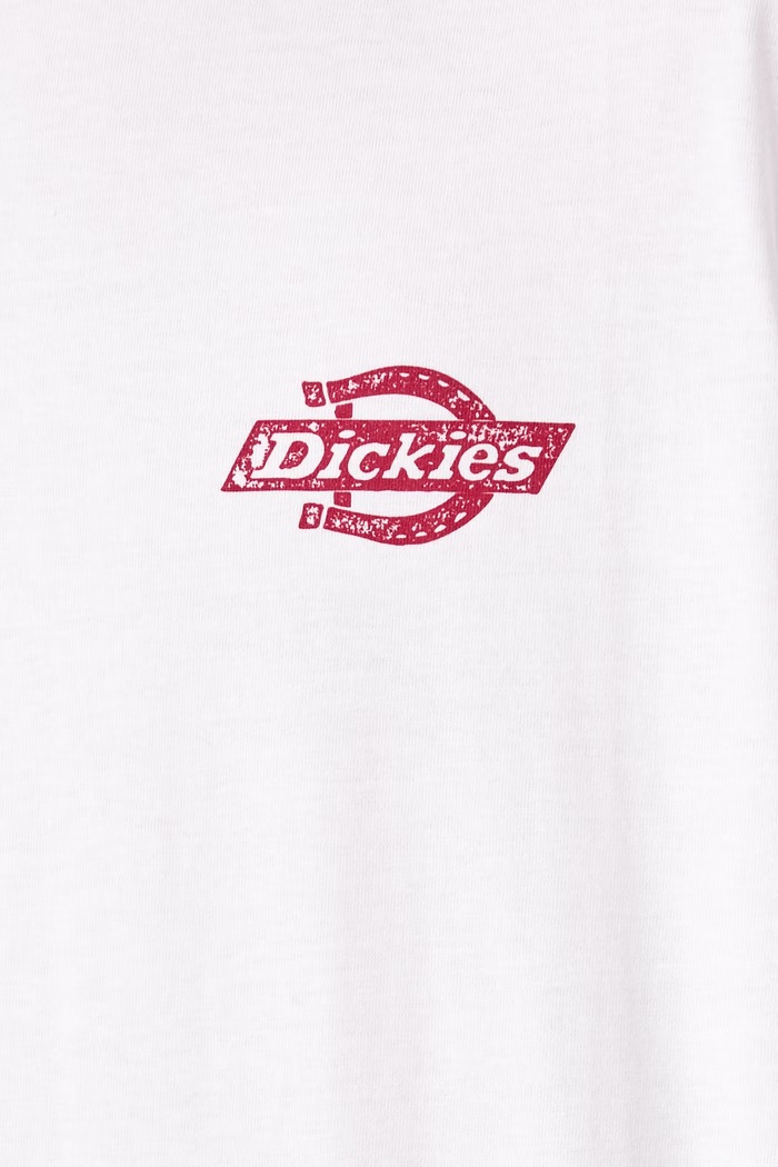 T-shirt męski bawełniany Dickies biały DK0A8DTF0WH1