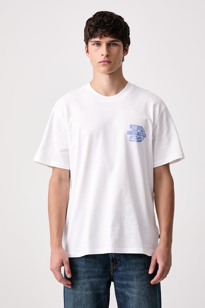 Odzież Dickies T-shirt męski bawełniany DK0A8DTC0WH1 biały