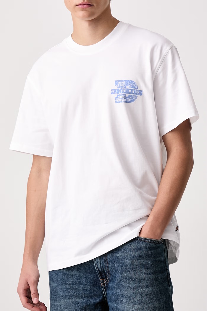 T-shirt męski bawełniany Dickies DK0A8DTC0WH1 biały