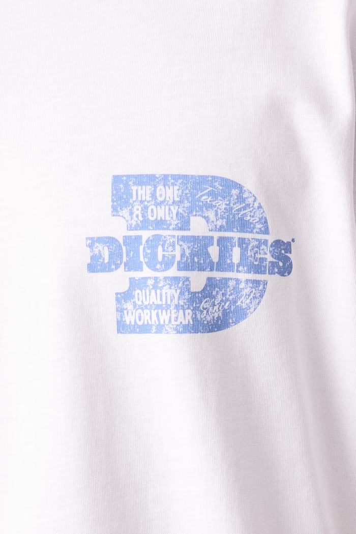 T-shirt męski bawełniany Dickies biały DK0A8DTC0WH1