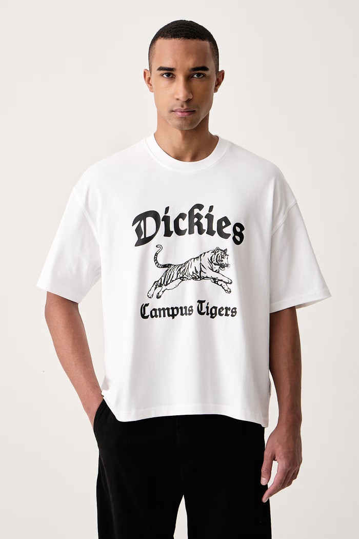 Dickies T-shirt męski bawełniany biały DK0A8DEF0WH1