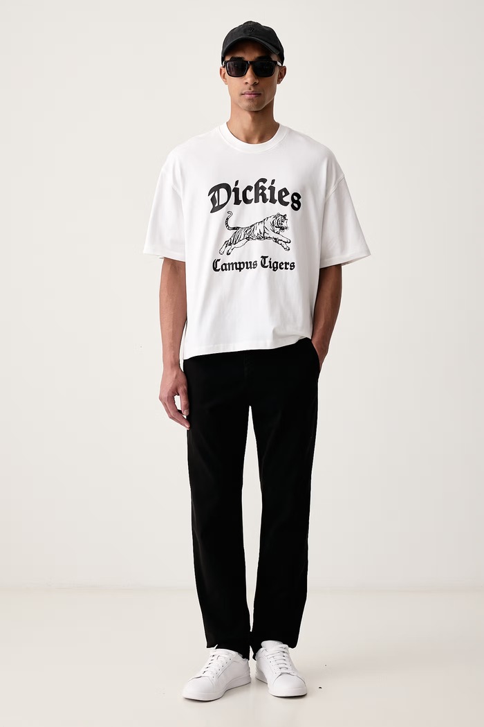Dickies T-shirt męski bawełniany DK0A8DEF0WH1 biały AW26