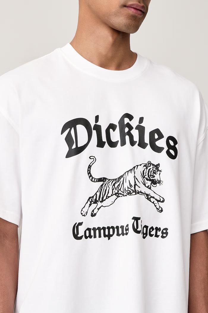 T-shirt męski bawełniany Dickies DK0A8DEF0WH1 biały
