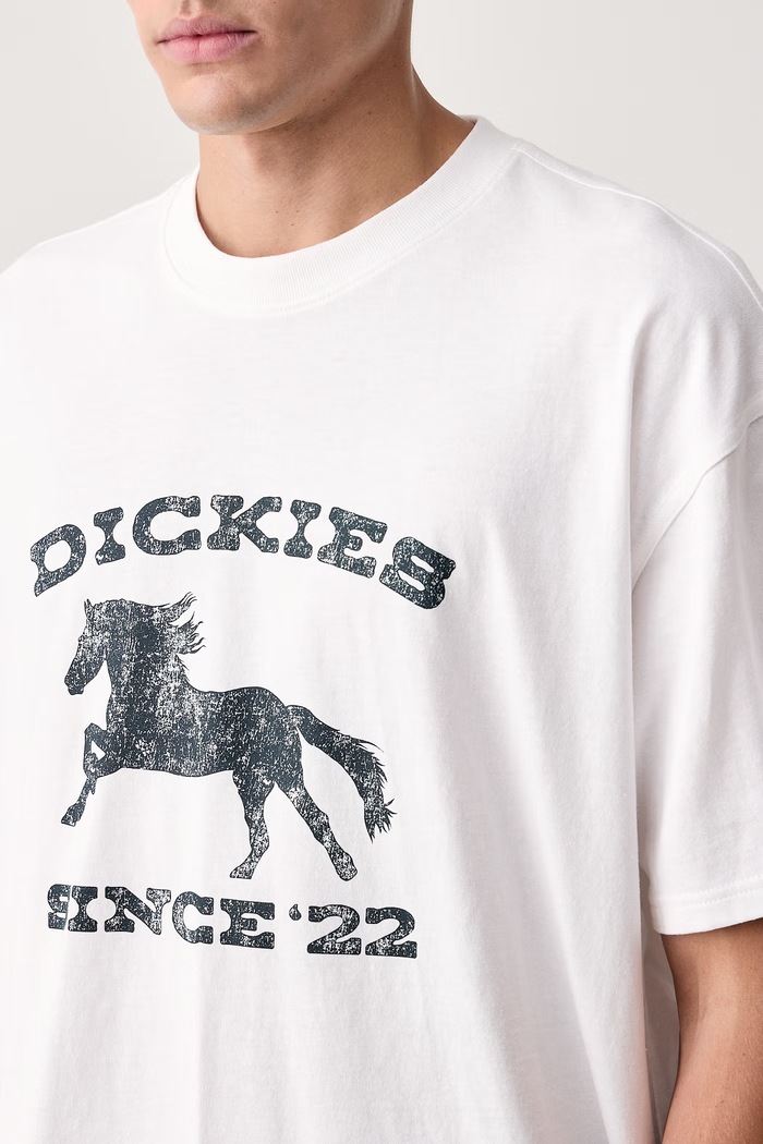 T-shirt męski bawełniany Dickies DK0A8CU60WH1 biały