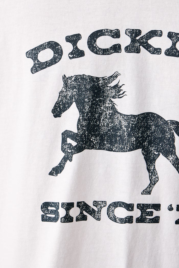 T-shirt męski bawełniany Dickies biały DK0A8CU60WH1