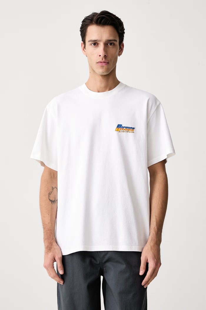 Odzież Dickies T-shirt męski bawełniany DK0A8CD30WH1 biały