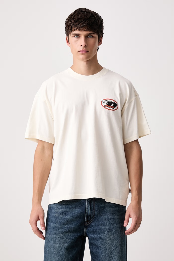 Odzież Dickies T-shirt męski bawełniany DK0A8D3FC481 beżowy