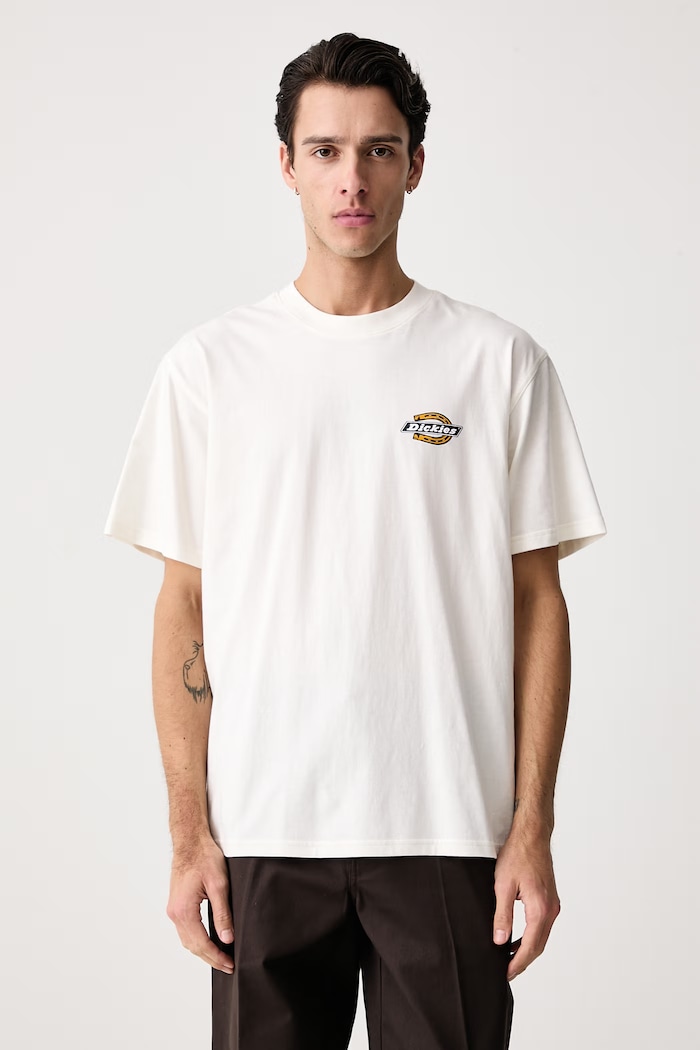 Odzież Dickies T-shirt męski bawełniany DK0A8CIOC481 beżowy