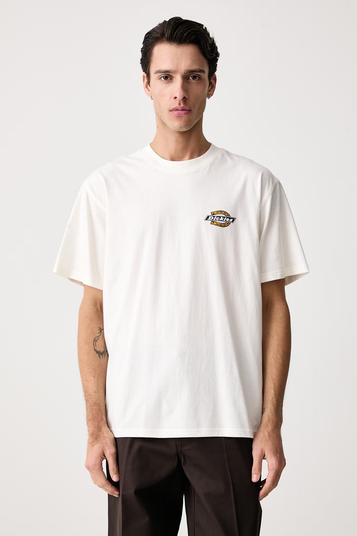 Odzież Dickies T-shirt męski bawełniany DK0A8CIOC481 beżowy