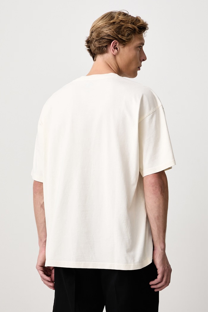 Odzież Dickies T-shirt męski bawełniany DK0A8CIMC481 beżowy