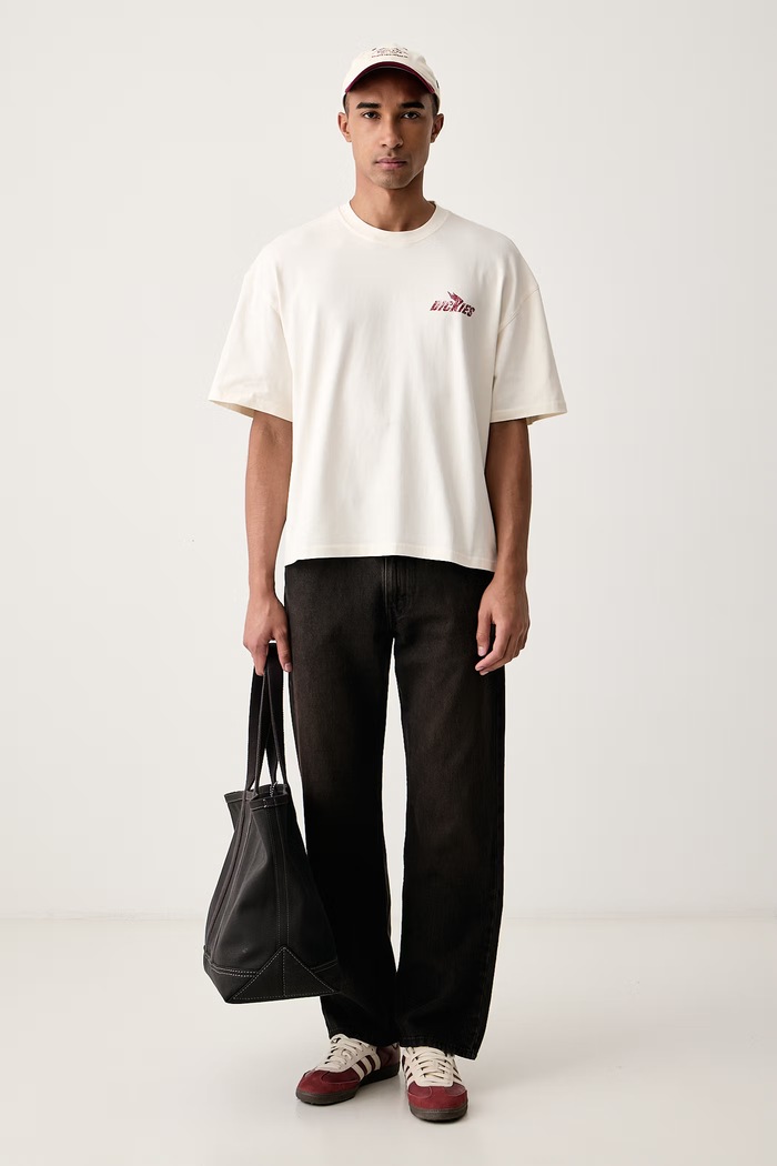 Dickies T-shirt męski bawełniany DK0A8CCLC481 beżowy AW26