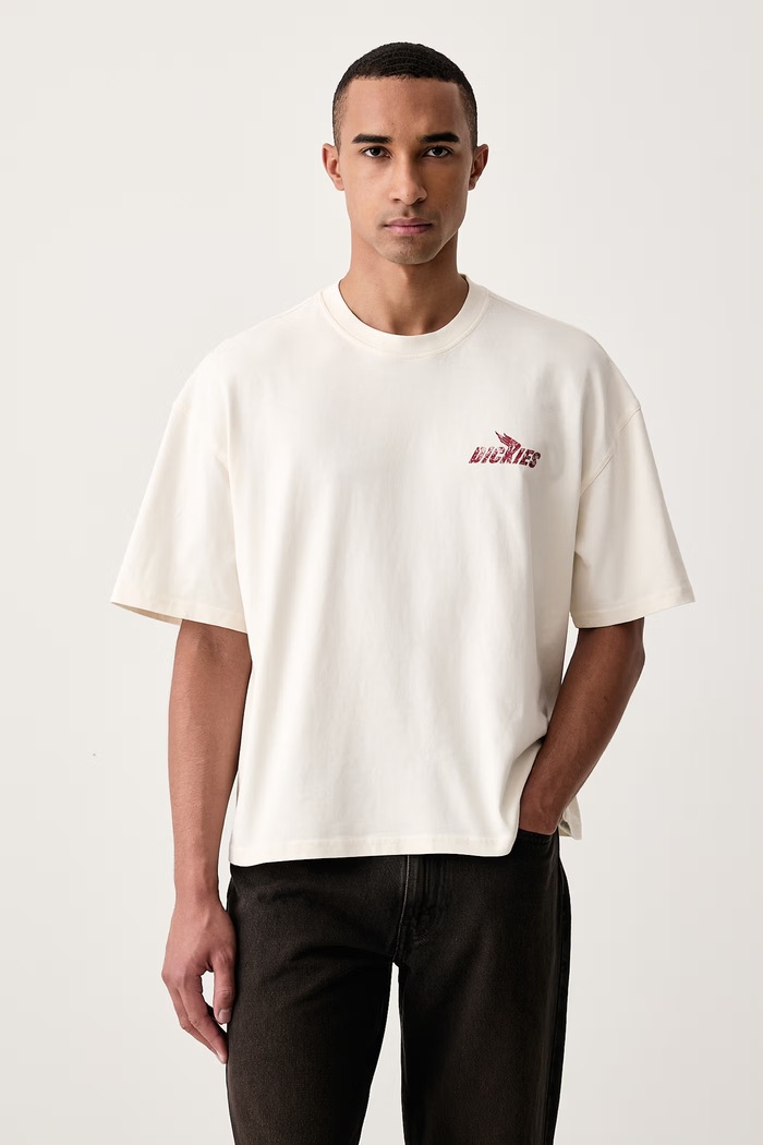 Odzież Dickies T-shirt męski bawełniany DK0A8CCLC481 beżowy