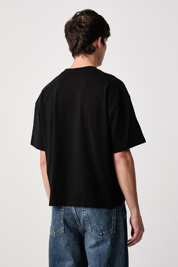 Odzież Dickies T-shirt męski bawełniany DK0A8DEFBLK1 czarny